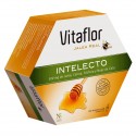 Vitaflor Intelecto 200ml x 20 ampollas