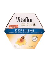 vitaflor defensas 200 ml x 20 ampollas